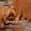 allanmclelland - @allanmclelland - TikTok