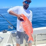 Allan Mcleod - @allanmcleod81 - Instagram