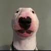 Allan Mcleod - @xxdaffy - TikTok