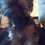 Allan Mcneill - @allan.mcneill.942 - Instagram