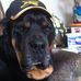 Alan Mcnutt - Facebook