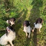 Alan Mcphail - @alan.mcphail.3 - Instagram