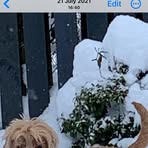 Allan Mcphail - Facebook
