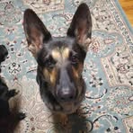 Allen Mcpherson - Facebook