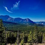 Alan McRae - @almcrae79 - Instagram