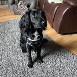 Alan Mcwilliam - @alanmcwil - Instagram