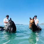 Alan R McWilliam - @armcwilliam - Instagram