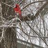 Allen Meade - @allen.meade - TikTok