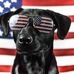 Alan Meadows - Facebook