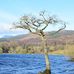 Allan Meek - Facebook