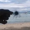Allanfromyt™√ - @allanmillar230 - TikTok