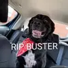 allanmillar880 - @allanmillar880 - TikTok