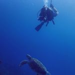 Alan Morton - @alanmorton40 - Instagram