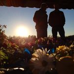 Allan Roy Morton Jr - @allanrmorton - Instagram