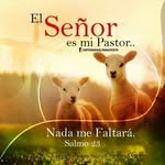 AY Navarro - @allan.navarro.503092 - Instagram
