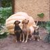 Alan Nesbitt - Facebook