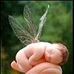 Alan Norman - Facebook