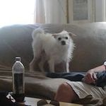 Allan Norman - @anorman1955 - Instagram