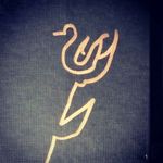 Norman Allan - @normanallandr - Instagram