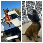 Allan Oswald - @jerry_et_ulke - Instagram