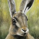Allan Owens - @moonlight_hares - Instagram