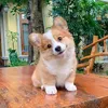 Allen Pasco - @allen.pasco - TikTok
