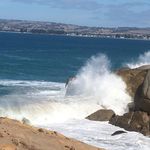 Allan Phelps - @phelpsallan - Instagram