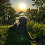 Bentley Allan Pieper - @bentleyallanpieps - Instagram
