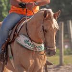 Allan Power🐎 - @allanpower_ - Instagram