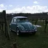 Allan Riley - @allan.riley - TikTok