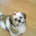 Allan Simpson - @allan.simpson.52 - Instagram