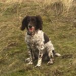 Allan Spence - @allanspence62 - Instagram