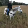 allanstephens56 - @allan.stephens4 - TikTok