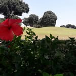 Allan Tan - @allan.tan.1426 - Instagram
