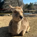 Allan Tan - @allan.tan2 - Instagram