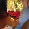 Allan Walters - @allan.walters - TikTok