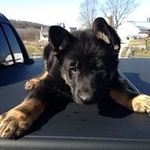 Curt Allan Werner - @curt17cba - Instagram