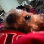 Allan_wheeler - @allan_wheeler7 - Instagram