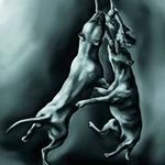 Allan Wheeler - @allanwheeler0 - Instagram