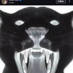 Allan Williams - @kingswill786 - Instagram