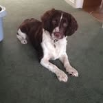Allan Williams - @allan.williams43 - Instagram