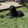 Alan Wyatt - @alan.wyatt8 - TikTok