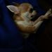Allandus Wright - Facebook