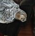 Allen Abernethy - Facebook