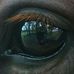 Allan Abramson - Facebook