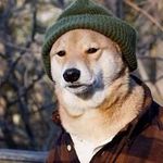Allen Adams - @sayallenthing - Instagram