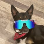 Allen Archer Dean - @allenarcherdean - Instagram