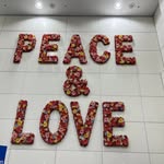 Sandy Allen-Bard - @sallenbard - Instagram