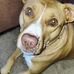 Allen Bell - Facebook