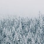 Allen Braun - @allenbraun570432 - Instagram